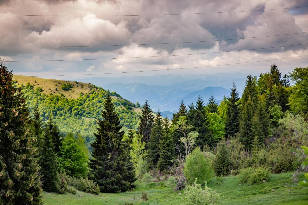 Apartments View Dvori E25 Kopaonik Zewnętrze zdjęcie