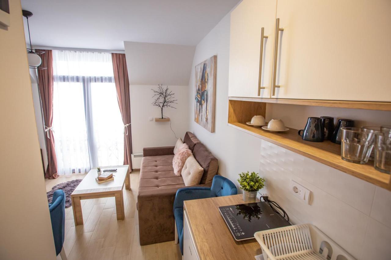 Apartments View Dvori E25 Kopaonik Zewnętrze zdjęcie
