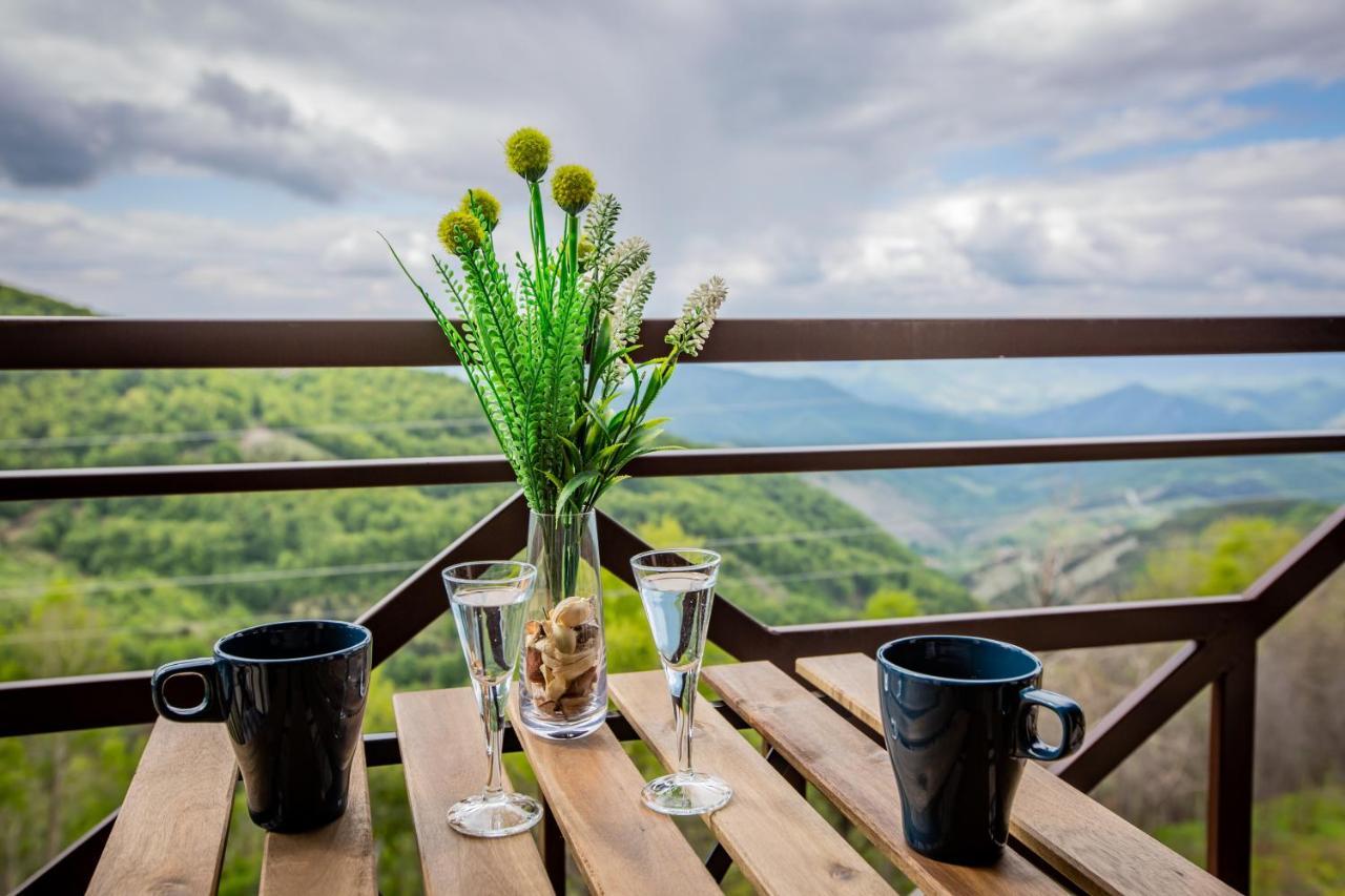 Apartments View Dvori E25 Kopaonik Zewnętrze zdjęcie